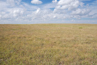 #2: View North