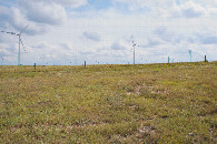 #3: View South