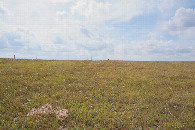 #4: View West