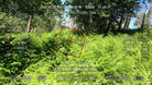 #9: Theodolite view showing slope