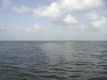 #3: East from the confluence, over the Florida Bay