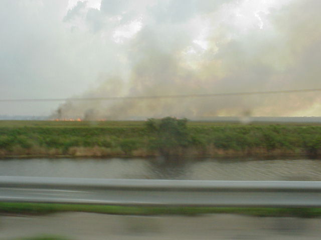 Long line of fires in the Everglades on the way.