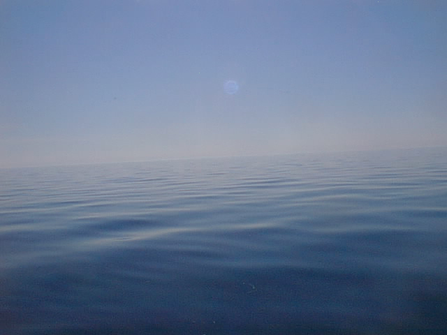 view south (gulf of mexico)