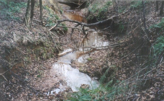 Different view of streambed