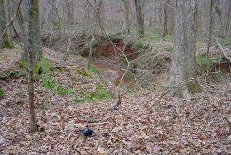 #1: Looking into the creekbed