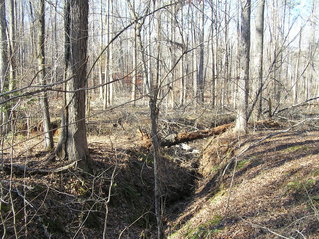 #1: Site of 33 North 84 West.  The confluence is just to the right of the log spanning the ravine.