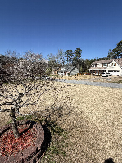 #1: Facing north looking over the red maple tree