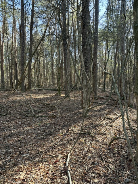 The area around CP