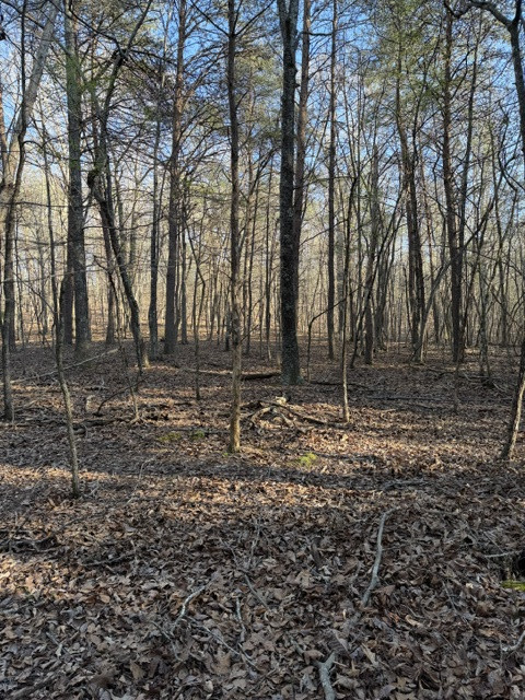 Facing east