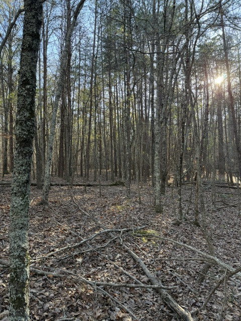 Facing south