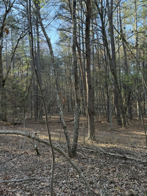 Facing west