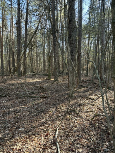 #1: The area around CP