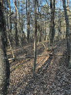 #3: Facing north