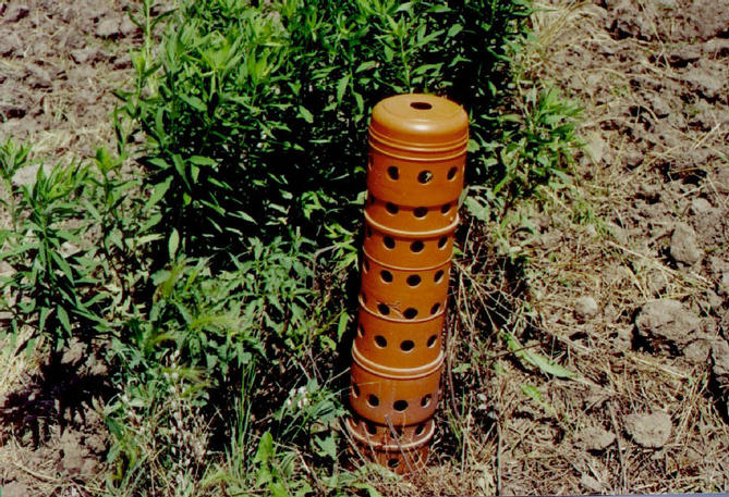 Closeup of the orange drainage pipe on the confluence.