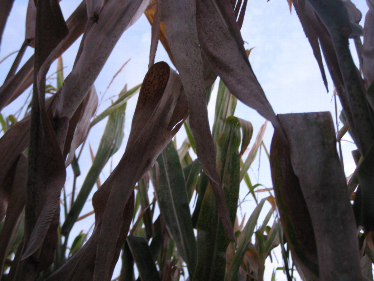 View to the north and up