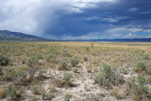 #1: The confluence point lies in arid ranchland in far southern Idaho.  (This is also a view to the North)