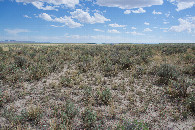 #3: View South (towards the Utah state line, 200m away)