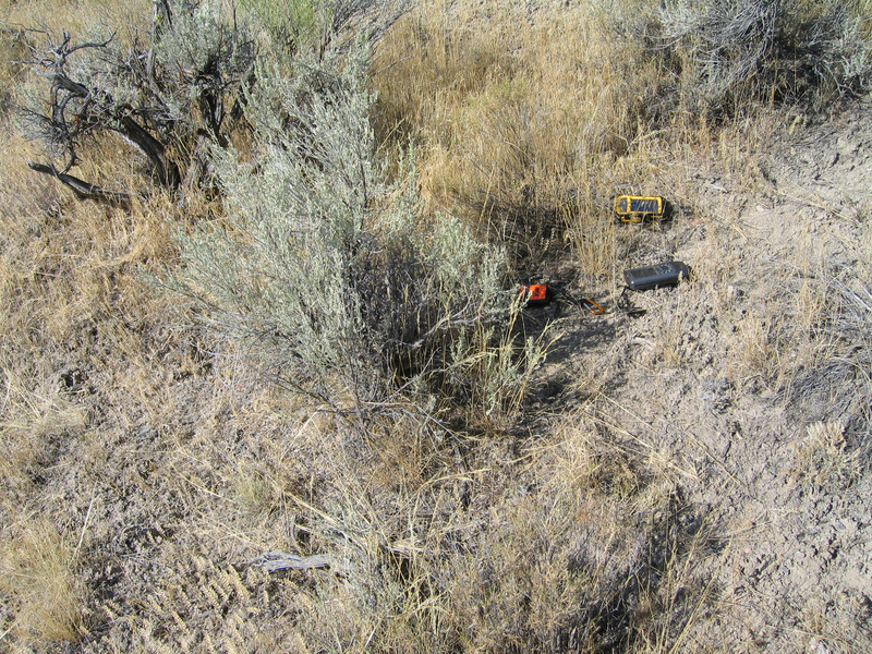 Ground cover and confluence sagebrush