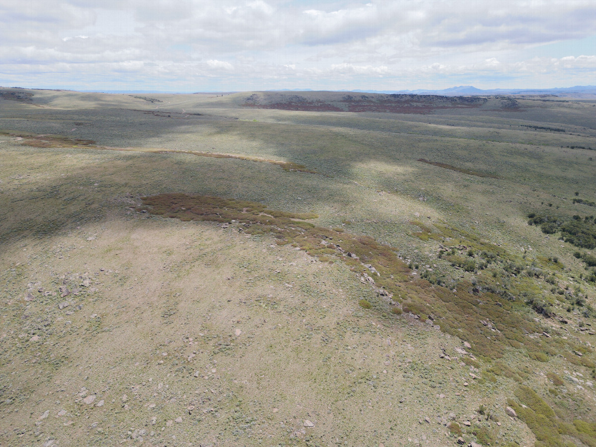 View South, from 120m above the point