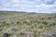 #2: View North