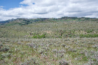 #4: View West