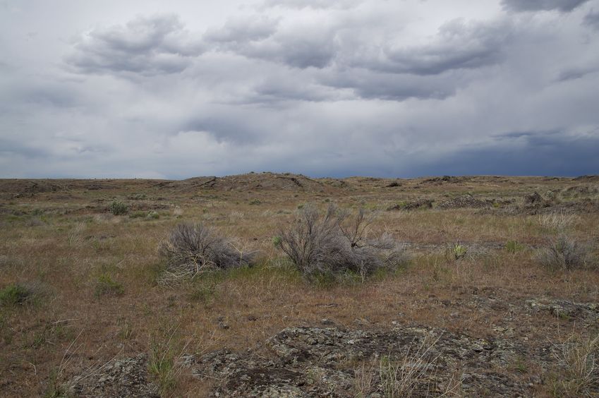 DCP 43 degrees north, 114 degrees west (visit 3) All Pictures