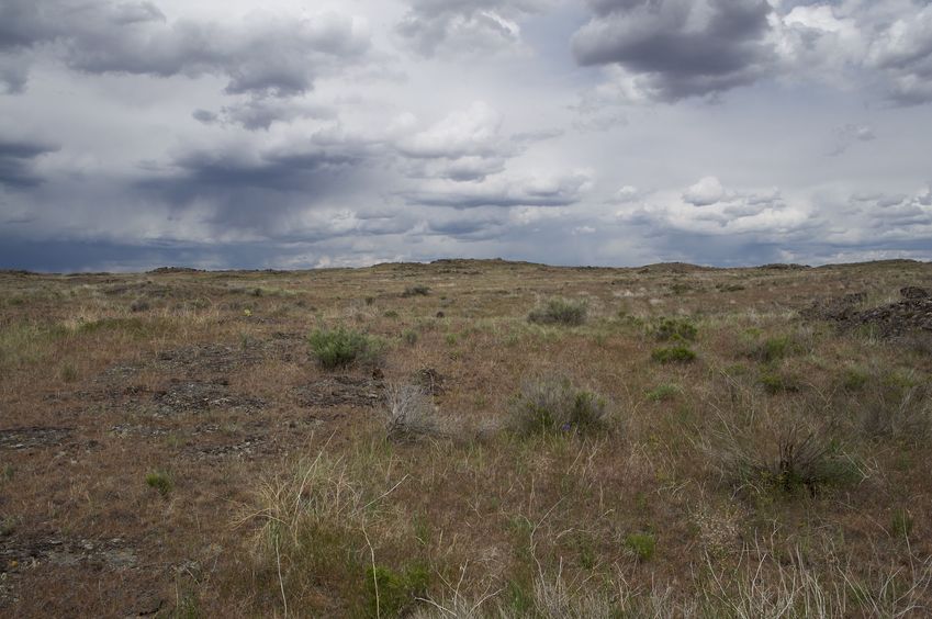 DCP 43 degrees north, 114 degrees west (visit 3) All Pictures