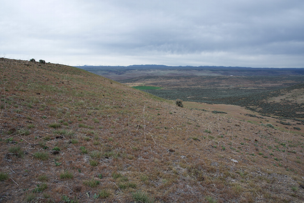 The confluence point lies on a grass-covered hillside.  (This is also a view to the North, down a valley towards a neighboring farm.)