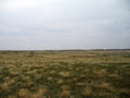 #4: View East