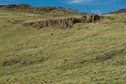 #8: A lone 'Confluence Cow' grazes on the hillside just north of the point, below rocky cliffs