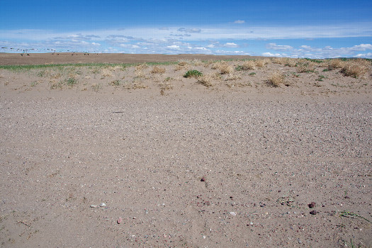 #1: The confluence point lies on a sandy rural road, that runs West-to-East