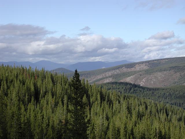 The view near the confluence looking east towards Montana