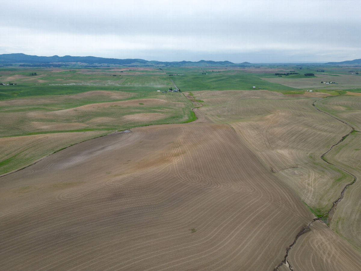 View South, from 120m above the point