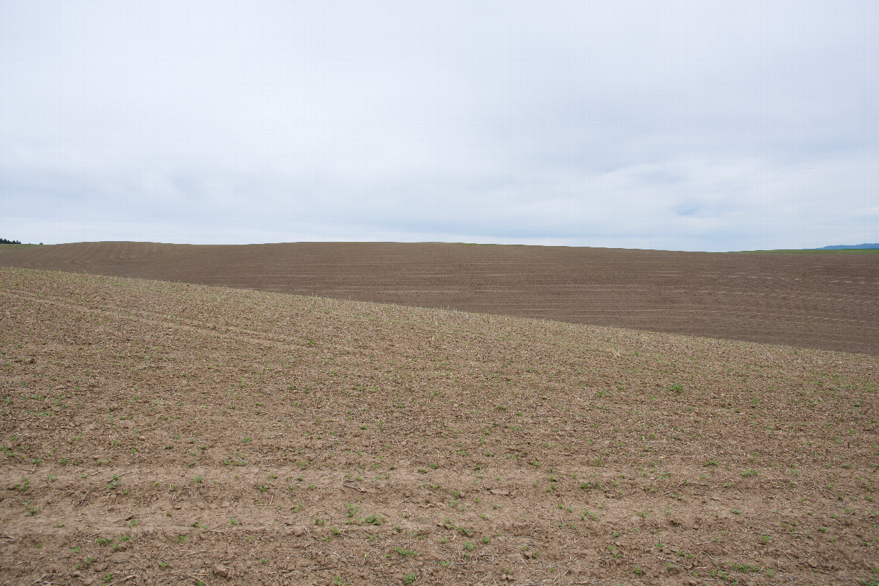 View East