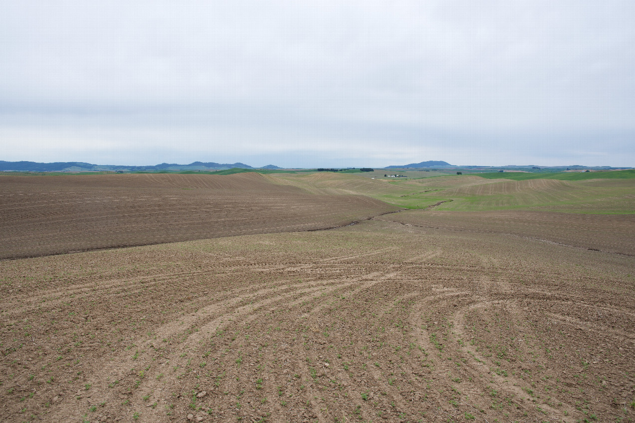 View South