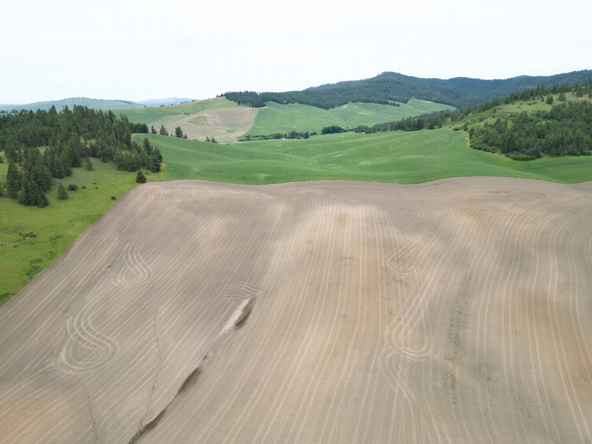 View North, from 120m above the point