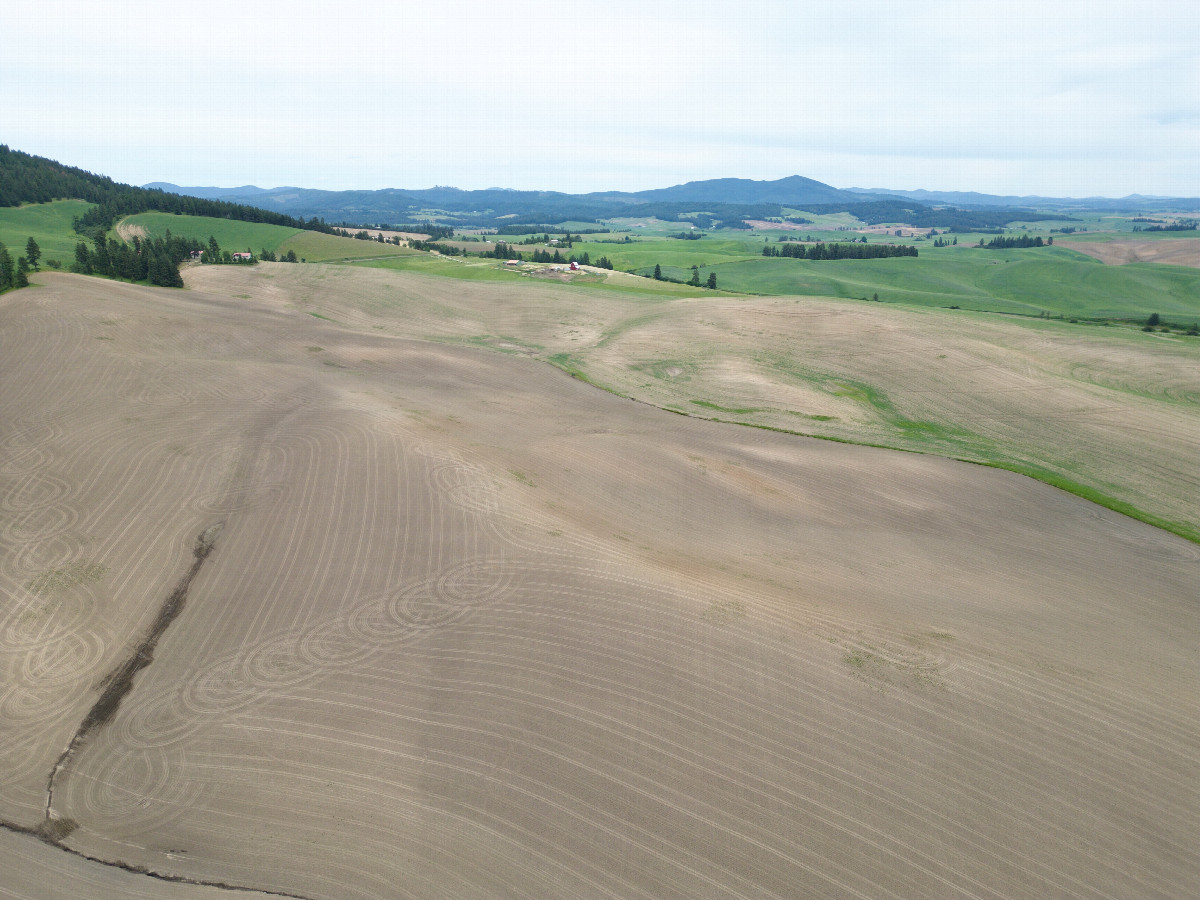 View East, from 120m above the point