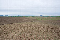 #3: View South