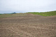 #4: View West