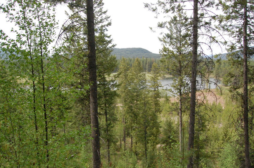 view north towards the lake
