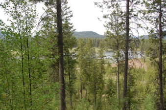 #1: view north towards the lake
