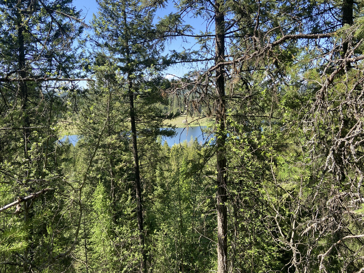 View to the north from the confluence point. 