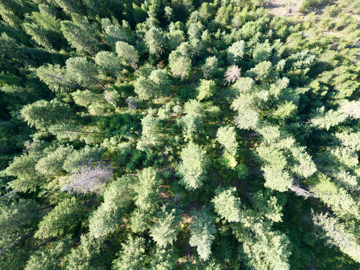 Looking down on the point from a height of 120m