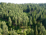 #10: View South, from 120m above the point