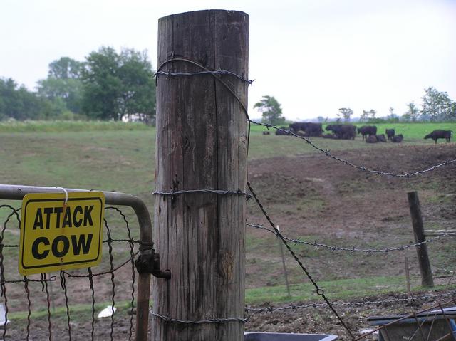 Humorous sign at farm, looking northeast.