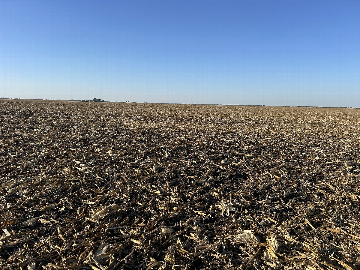 An overview of the conflunce--it lies amidst this dead cornfield.