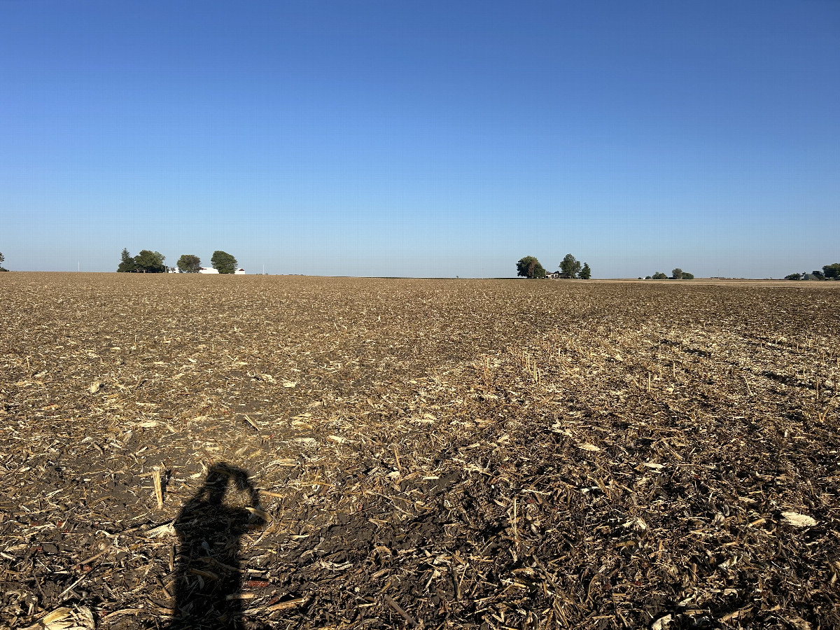 A view to the east from the confluence, toward CR-2500E