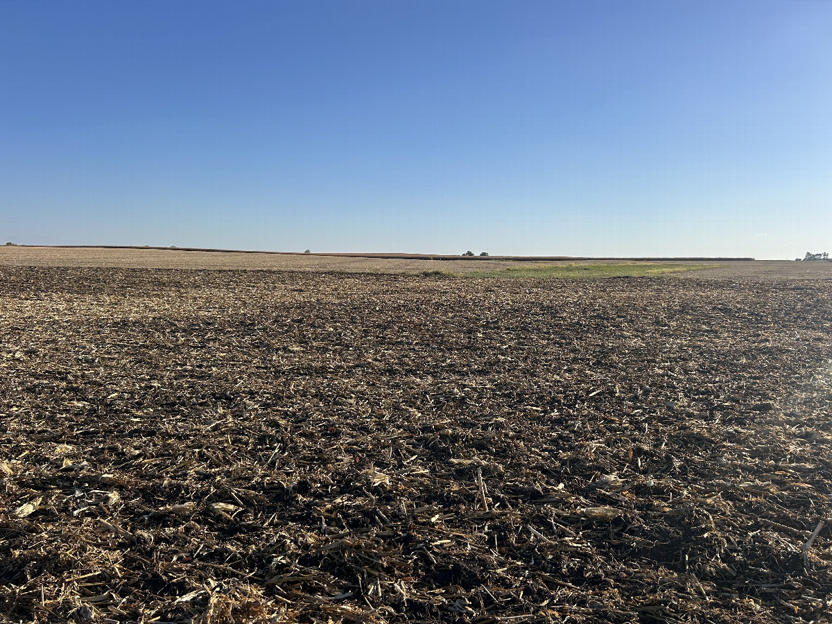 A view to the south from the confluence, toward CR-800N