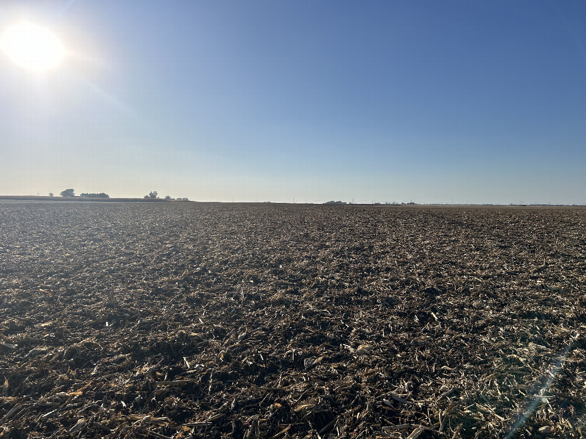 A view toward the west from the confluence, toward more farmsteads