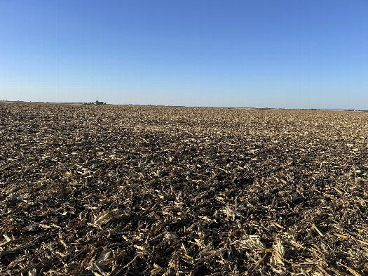 #1: An overview of the conflunce--it lies amidst this dead cornfield.